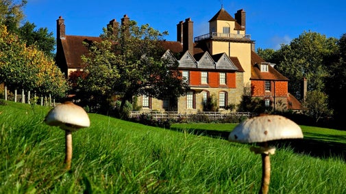 Fungi in close up with the house at Standen in the background, blue sky.